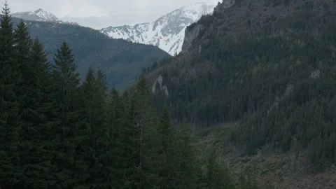 High snow mountain peaks above dense pine forest in Tatra National Park 動画素材 335128648