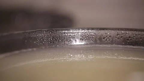 High soup, thick soup, fish soup, milk white cream soup (1) Stock Footage 202234326