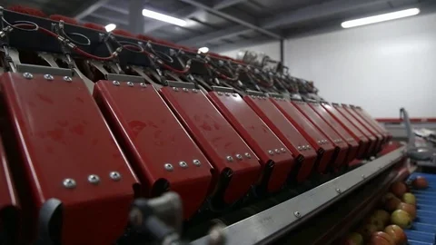 High speed automated machine for sorting products for mass production inside Stockbeeldmateriaal 125665583