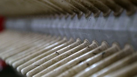 High speed automated machine for sorting products for mass production inside Stockbeeldmateriaal 125666800