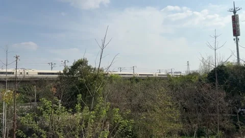 High Speed Bullet Train Passing Through Forest in Chengdu Stock Footage 334699378