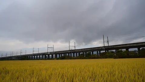 High Speed Bullet Train Shinkansen is crossing the railway bridge Stock Footage