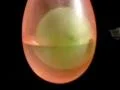High Speed Camera : Balloon Explosion Double 01 14x Loop Footage