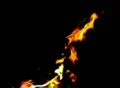 High Speed Camera : Fire 05 Twister Loop Footage