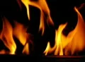 High Speed Camera : Fire wood 01 Loop Web Footage