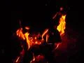 High Speed Camera Fire Wood 10 Slow Motion 210fps Footage
