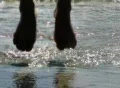High speed camera : Girl jumps on ocean waves Footage