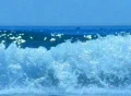 High Speed Camera : Ocean Wave 027 Loop Footage