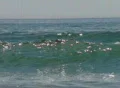 High Speed Camera : Ocean Wave 028 Footage