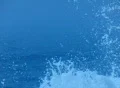 High Speed Camera : Ocean Waves 11 Waves crashing Loop Web Footage
