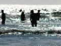 High Speed Camera : Ocean Waves Beach Resort 5 Web Footage