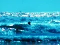 High Speed Camera : Ocean Waves Beach Resort 6 Web Footage