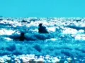 High Speed Camera : Ocean Waves Beach Resort 7 Web Footage