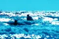 High Speed Camera : Ocean Waves Beach Resort 7 Footage