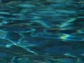 High Speed Camera : Pool Water Surface 09 Loop Web Footage