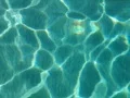 High Speed Camera : Pool Water Surface 14 Loop Web Footage