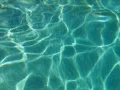 High Speed Camera : Pool Water Surface 22 Loop Web Footage