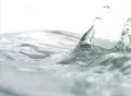 High Speed Camera : Pouring Water & Ripples 03 : VJ Loop (600fps) Footage