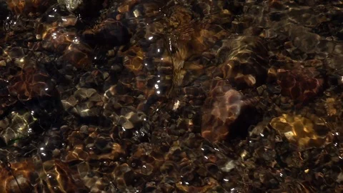 High speed camera shooting of ripple in mountain stream close up. Stock Footage 90565640