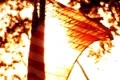High Speed Camera USA Flag Sunset 12 Slow Motion Loop Footage