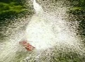 High Speed Camera : Water Balloon Explosion - Orange (800ps) Web Footage