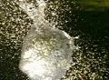 High Speed Camera : Water Balloon Explosion - Pink (400fps) Web Footage