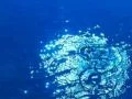 High Speed Camera : Water Drop and Ripples 7 Loop Footage