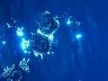 High Speed Camera : Water Drop and Ripples 5 Loop Web Footage