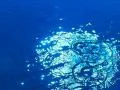 High Speed Camera : Water Drop and Ripples 7 Loop Web Footage