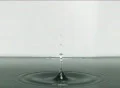 High Speed Camera : Water Drops & Ripples 024 : VJ Loop Web Footage