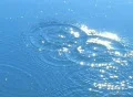 High Speed Camera : Water Drops & Ripples T204 : VJ Loop (300fps) Web Footage
