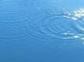 High Speed Camera : Water Drops & Ripples T205 : VJ Loop (300fps) Web Footage