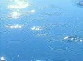High Speed Camera : Water Drops & Ripples T101 : VJ Loop (300fps) Footage