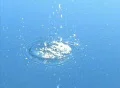 High Speed Camera : Water Drops & Ripples T202 : VJ Loop (300fps) Footage