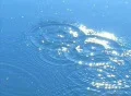 High Speed Camera : Water Drops & Ripples T204 : VJ Loop (300fps) Footage