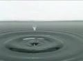 High Speed Camera : Water Drops & Ripples 031 : VJ Loop Web Footage