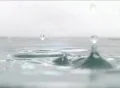 High Speed Camera : Water Drops & Ripples M32 : VJ Loop (600fps) Web Footage