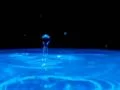 High Speed Camera Water Drops and Ripples 080 Slow Motion 210fps SD Footage