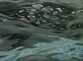 High Speed Camera : Water Ripples & Undulation 021 : VJ Loop (600fps) Footage