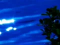 High Speed Camera : Water Sunlight Reflections and Leaves 4 Loop Web Footage