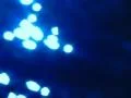 High Speed Camera : Water Surface and Reflections 4 Loop Web Footage