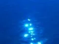 High Speed Camera : Water Surface and Reflections 8 Loop Web Footage