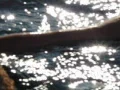 High Speed Camera : Woman in hot springs slow motion 3 Web Footage
