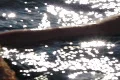 High Speed Camera : Woman in hot springs slow motion 3 Footage