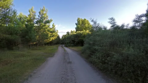 High speed driving in woods Stock Footage 68001973