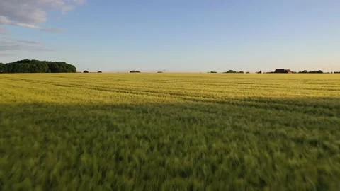 High speed drone flight over a field in Hamm, Germany 스톡 동영상 134494628