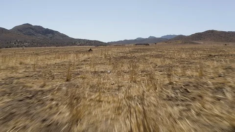 High speed drone shot of dry empty spanish desert with vegetation and mountains Stock Footage 119351337