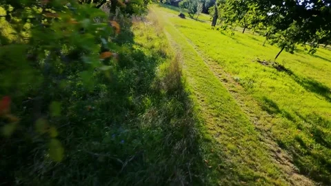 High-Speed FPV Drone Flight Over Rural Dirt Road in Scenic Landscape Stock Footage 318306369