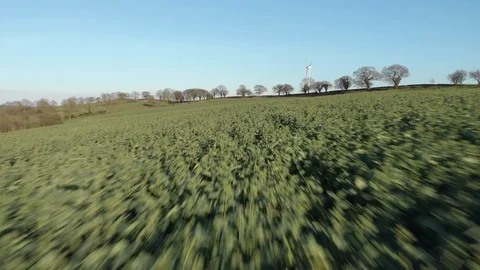 High Speed Low Aerial Over Field Of Rapeseed Crops, Canola Oil. Video stock 105224629