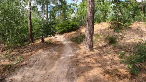 High speed mountain biking on forest trail. Stock Footage 134878586